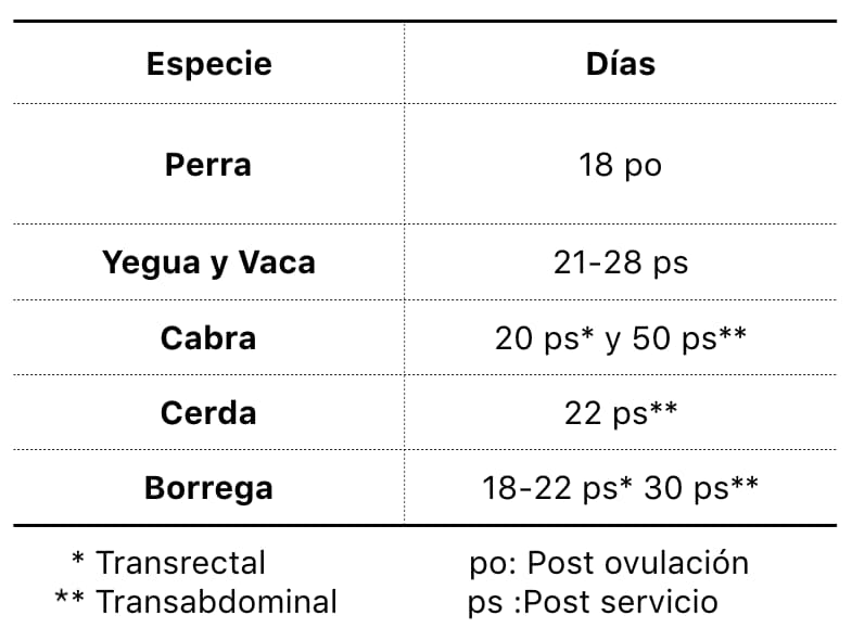 8.6 Diagnóstico De Gestación | Reproducción De Los Animales Domésticos